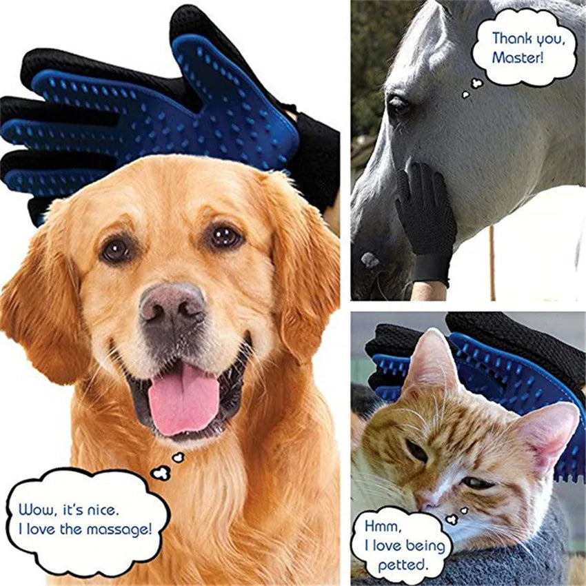 Gants de toilettage pour chiens et animaux de compagnie