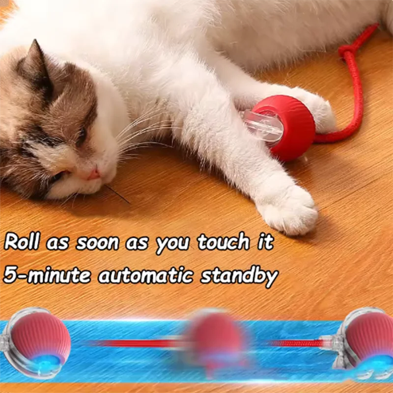 Jouets interactifs pour chats Balle rebondissante avec queue Accessoires intelligents rechargeables USB