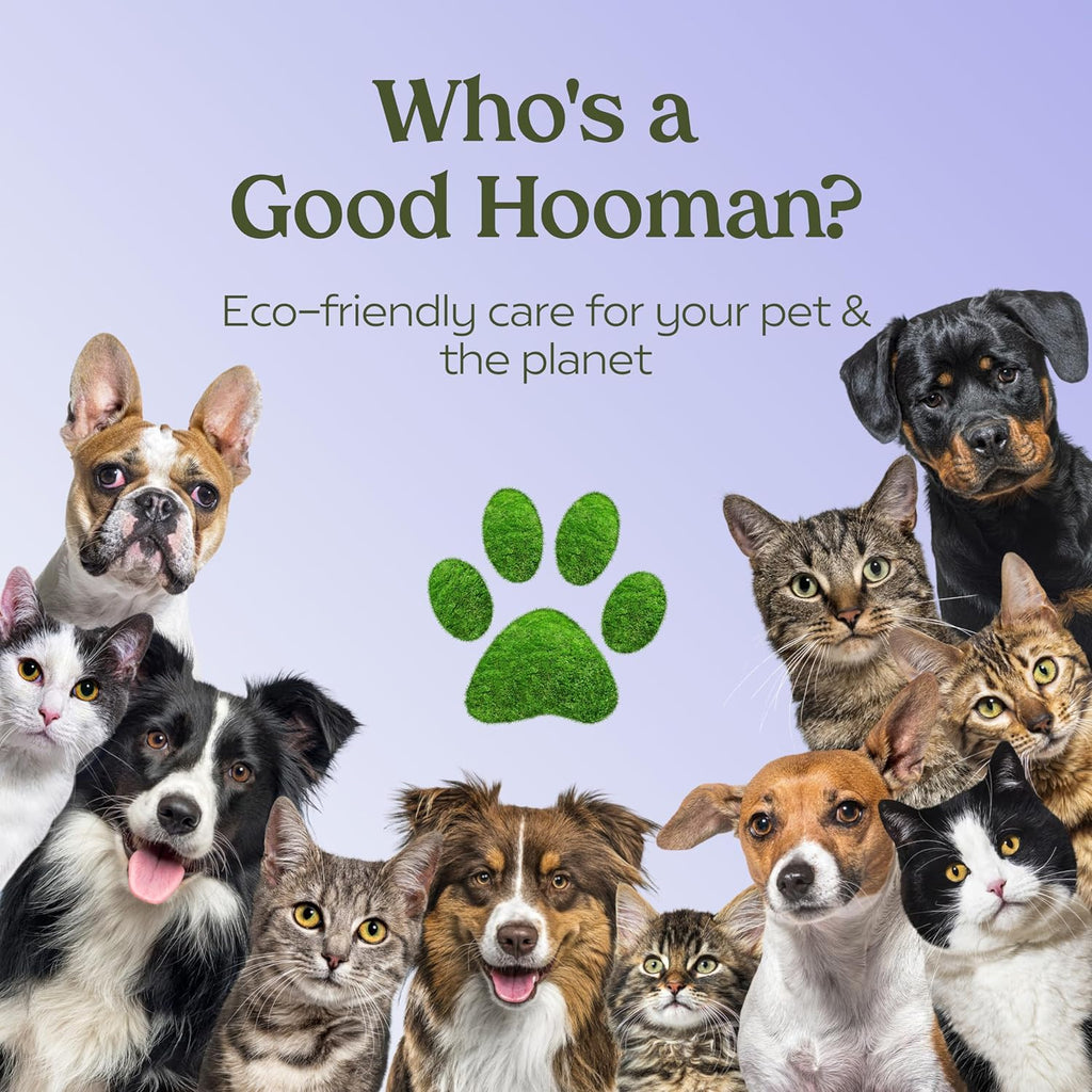 PAWFUME Dog Detangler Grooming Spray, Royal Lavender, 1-Pack – Keeps Pups Fresh All Day – Hypoallergenic, Alcohol-Free, Detangling & Moisturizing – Salon-Quality Dog Necessities for Coat & Fur Care