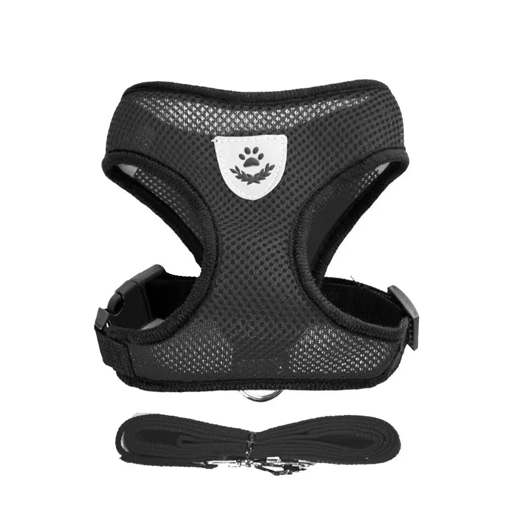 harnais pour chien (chio - chien  )